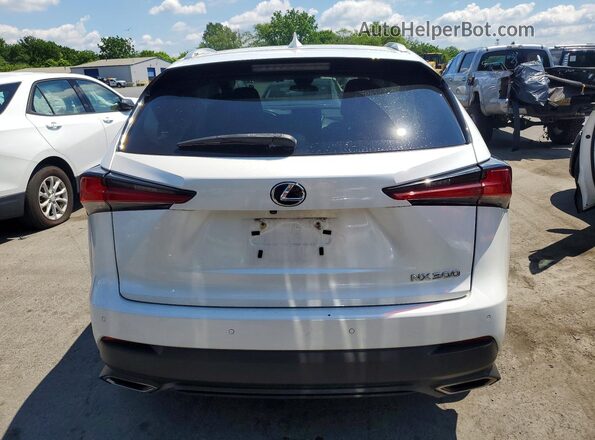 JTJBARBZ8J2160216 2018 LEXUS NX White Հետևի տեսք