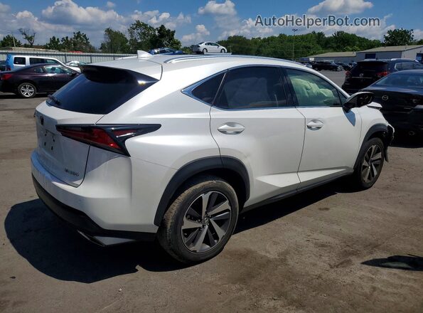 JTJBARBZ8J2160216 2018 LEXUS NX White Հետևի աջ
