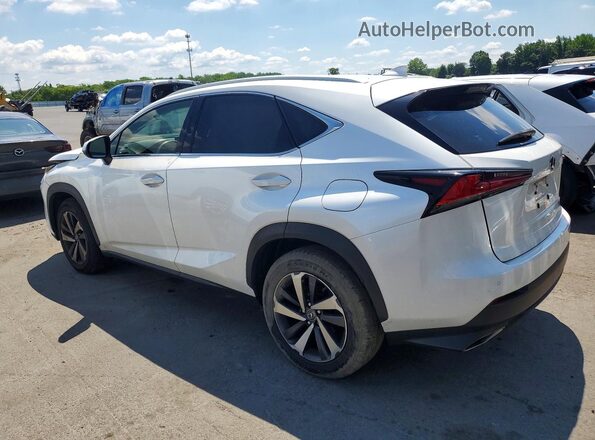 JTJBARBZ8J2160216 2018 LEXUS NX White Հետևի ձախ