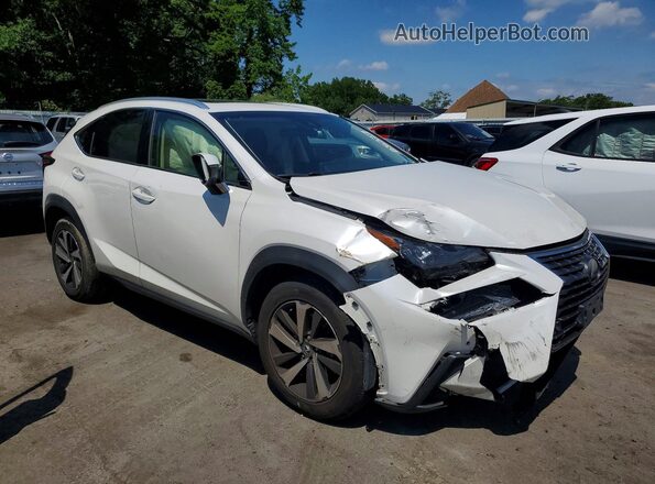 JTJBARBZ8J2160216 2018 LEXUS NX White Առջևի աջ