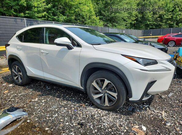 JTJBARBZ8K2194500 2019 LEXUS NX White Przód prawy