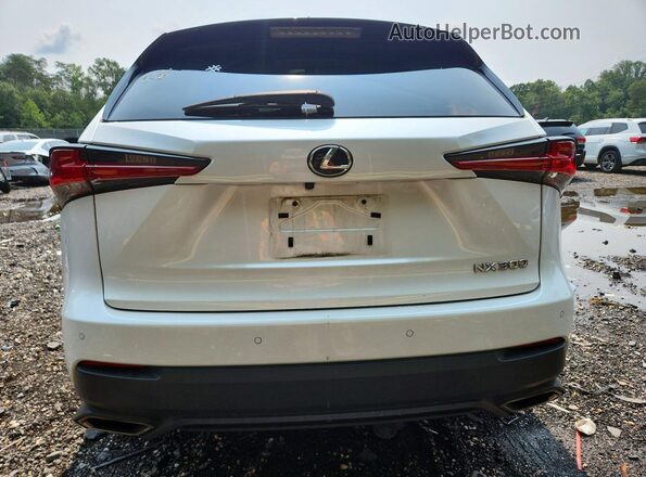 JTJBARBZ8K2194500 2019 LEXUS NX White Widok z tyłu