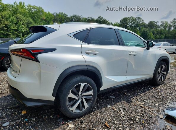 JTJBARBZ8K2194500 2019 LEXUS NX White Tył prawy