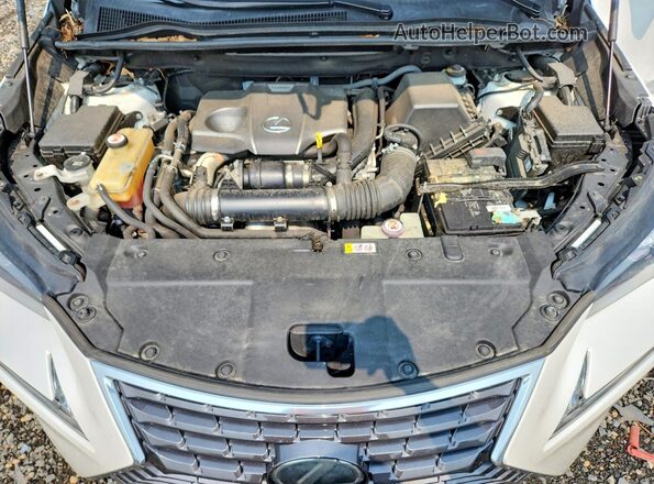 JTJBARBZ8K2194500 2019 LEXUS NX White Widok komory silnika