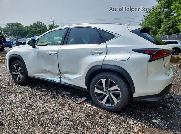 JTJBARBZ8K2194500 2019 LEXUS NX White Tył lewy