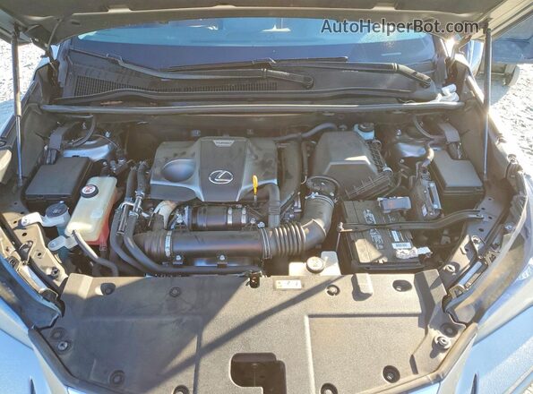 JTJBARBZ8K2212994 2019 LEXUS NX Серебряный Вид задней части салона