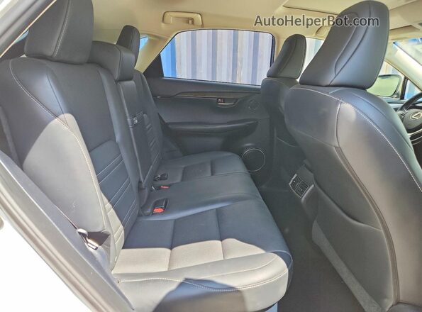 JTJBARBZ9H2113092 2017 LEXUS NX Белый Вид задней части салона