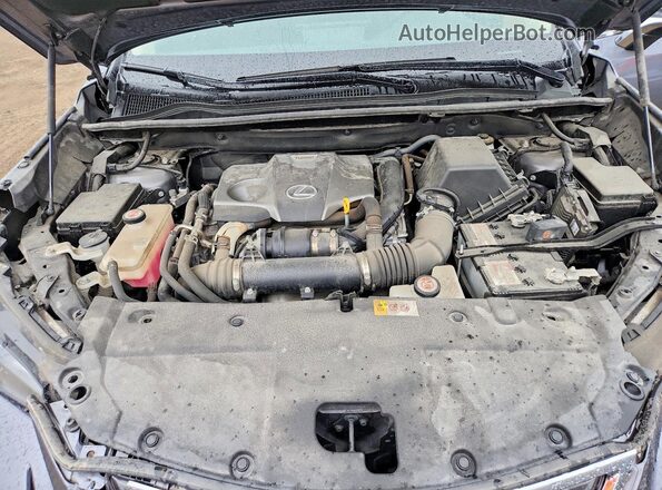 JTJBARBZ9J2177378 2018 LEXUS NX Charcoal უკანა სალონის ხედი