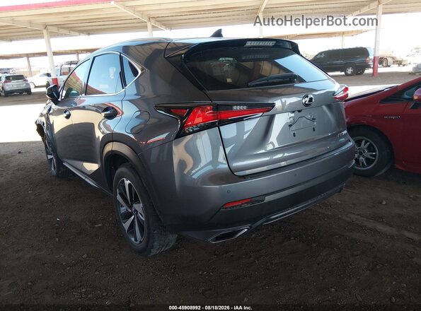 JTJBARBZXJ2165952 2018 LEXUS NX 300 Gray Задня ліва чверть