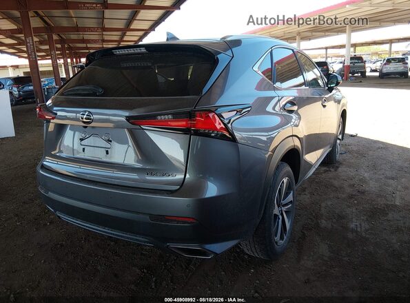JTJBARBZXJ2165952 2018 LEXUS NX 300 Gray Задня права чверть