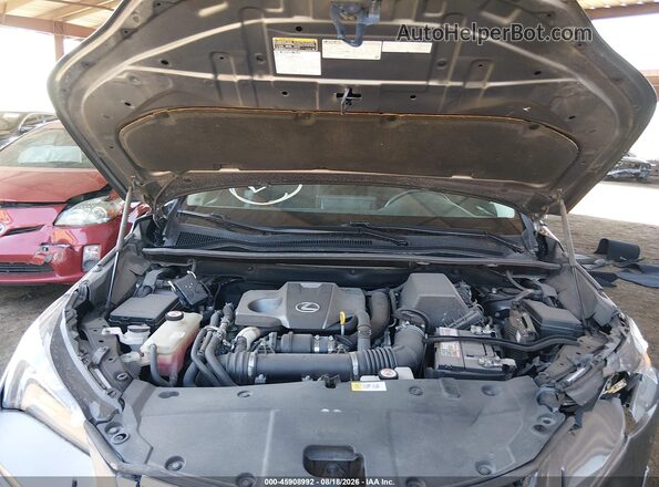 JTJBARBZXJ2165952 2018 LEXUS NX 300 Gray Вид ззаду