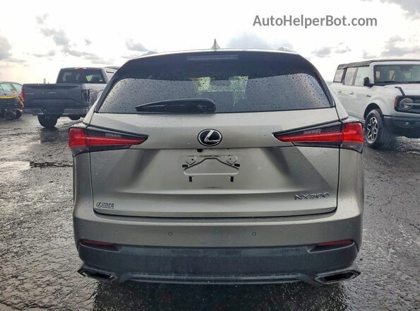 JTJBARBZXJ2178913 2018 LEXUS NX Gray Rear view