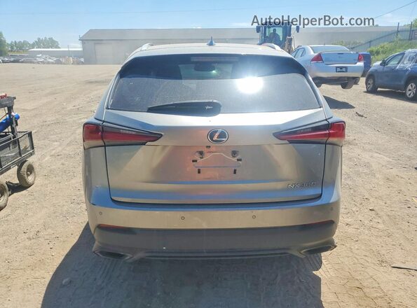JTJBARBZXK2202497 2019 LEXUS NX Silver Вид ззаду