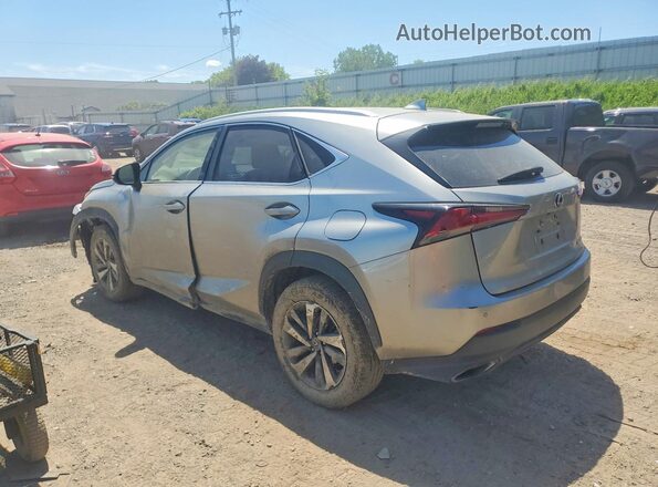 JTJBARBZXK2202497 2019 LEXUS NX Silver Задня ліва чверть