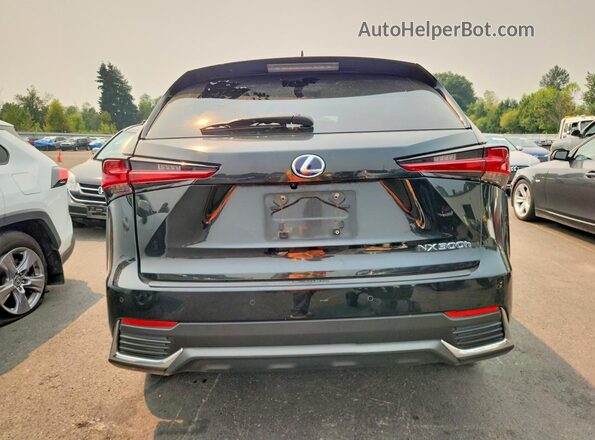 JTJBJRBZ0K2100223 2019 LEXUS NX Black უკანა ხედი
