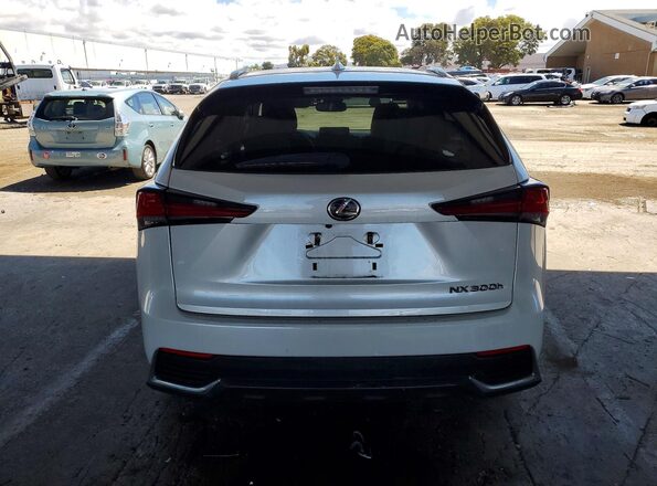 JTJBJRBZ0K2109391 2019 LEXUS NX Белый Вид сзади