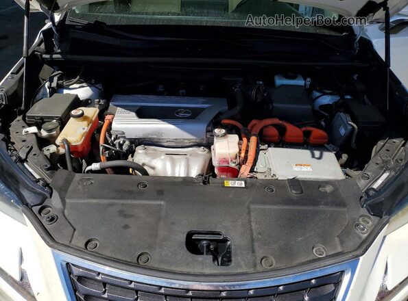 JTJBJRBZ0K2109391 2019 LEXUS NX Белый Вид задней части салона