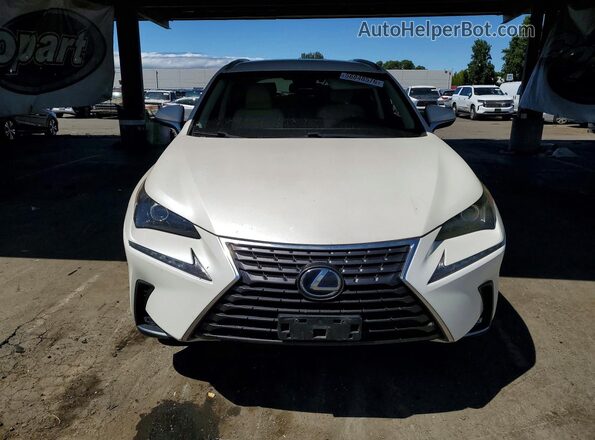 JTJBJRBZ0K2109391 2019 LEXUS NX Белый Вид спереди