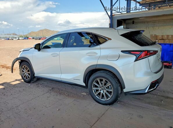 JTJBJRBZ0K2120097 2019 LEXUS NX Белый Задняя левая четверть