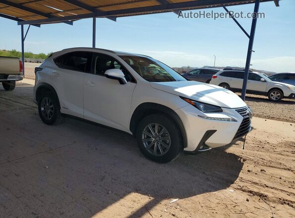 JTJBJRBZ0K2120097 2019 LEXUS NX Белый Передняя правая четверть