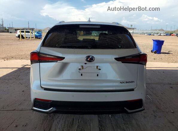 JTJBJRBZ0K2120097 2019 LEXUS NX Белый Вид сзади