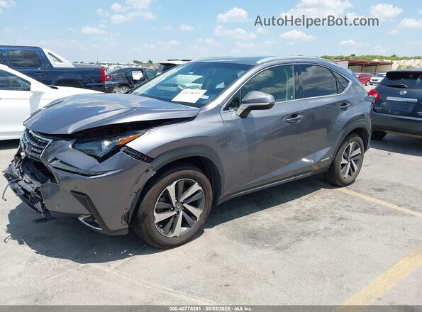 JTJBJRBZ2J2088140 2018 LEXUS NX 300H Gray Vista tres cuartos delantera izquierda