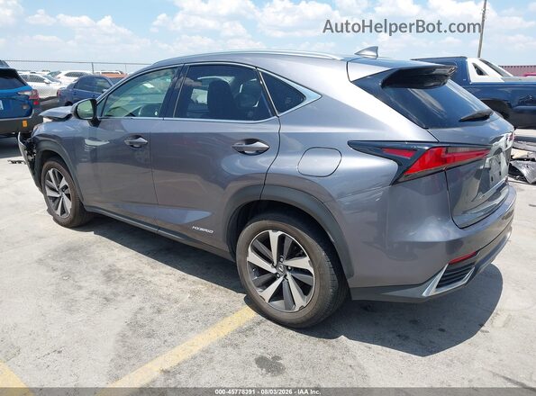 JTJBJRBZ2J2088140 2018 LEXUS NX 300H Gray Trasero izquierdo