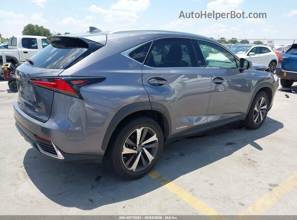 JTJBJRBZ2J2088140 2018 LEXUS NX 300H Gray Trasero derecho