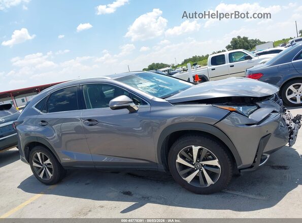 JTJBJRBZ2J2088140 2018 LEXUS NX 300H Gray Vista interior trasera