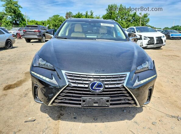 JTJBJRBZ3K2115802 2019 LEXUS NX Black Vista frontal