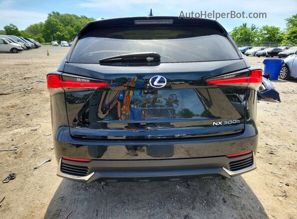 JTJBJRBZ3K2115802 2019 LEXUS NX Black Vista trasera