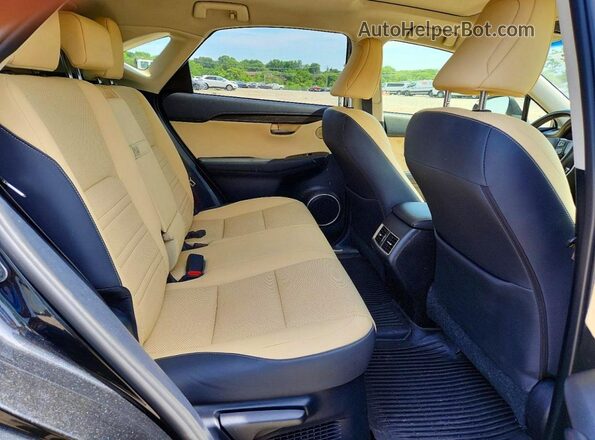 JTJBJRBZ3K2115802 2019 LEXUS NX Black Vista interior trasera