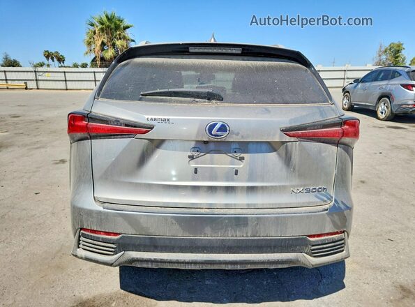 JTJBJRBZ4K2120443 2019 LEXUS NX Silver Vista trasera