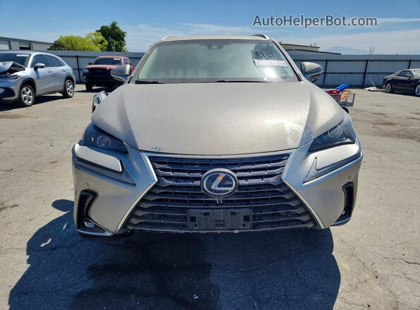 JTJBJRBZ4K2120443 2019 LEXUS NX Silver Vista frontal