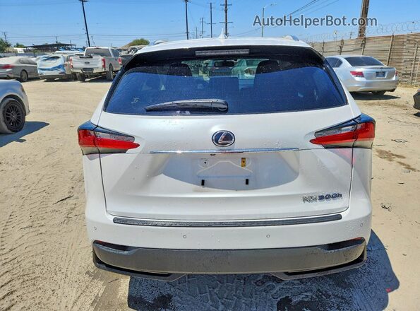 JTJBJRBZ6G2031058 2016 LEXUS NX Белый Вид сзади