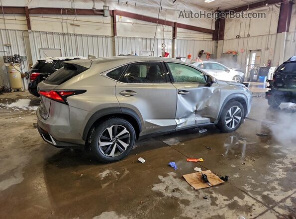 JTJBJRBZ7K2122249 2019 LEXUS NX Silver უკანა მარჯვენა