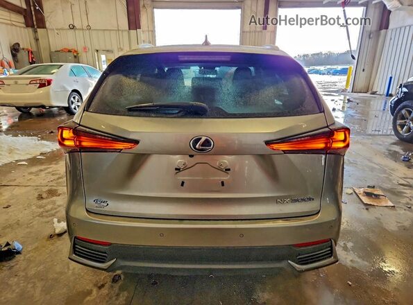 JTJBJRBZ7K2122249 2019 LEXUS NX Silver უკანა ხედი