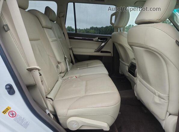JTJBM7FX1G5135850 2016 LEXUS GX Белый Вид задней части салона