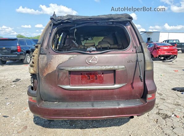 JTJBM7FX1K5221751 2019 LEXUS GX Пожар Вид сзади