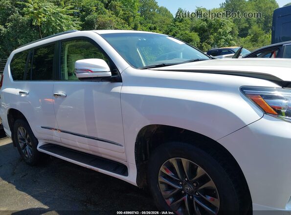 JTJBM7FX2J5196115 2018 LEXUS GX 460 White Vista interior trasera
