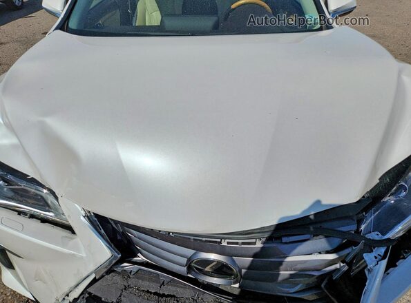 JTJBZMCA3H2022906 2017 LEXUS RX White Vista interior trasera