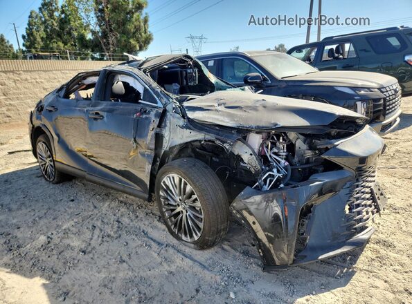 JTJCJMGA3S2025978 2025 LEXUS RX Black 