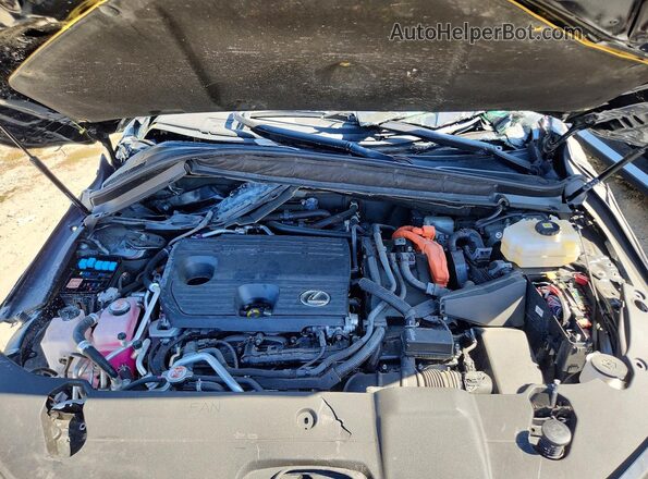 JTJCJMGA3S2025978 2025 LEXUS RX Black Vista del compartimento del motor