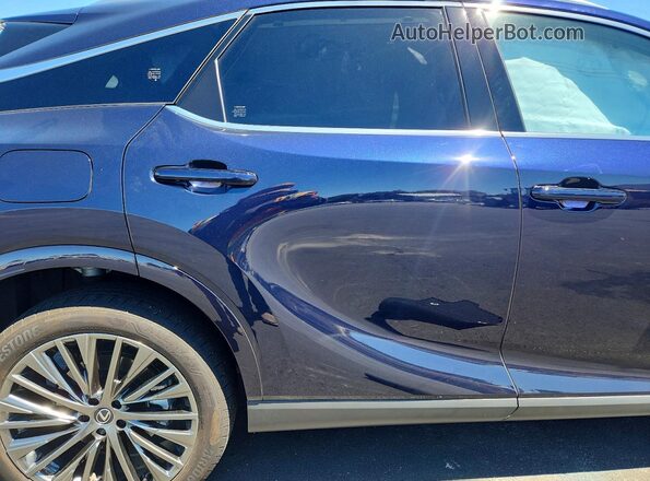 JTJCJMGA6S2028308 2025 LEXUS RX Синий Вид задней части салона