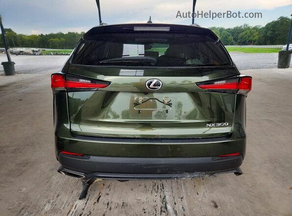 JTJDARBZ2M2181723 2021 LEXUS NX Зеленый Вид сзади
