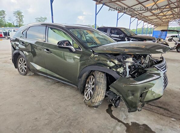 JTJDARBZ2M2181723 2021 LEXUS NX Зеленый Передняя правая четверть