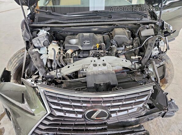 JTJDARBZ2M2181723 2021 LEXUS NX Зеленый Вид задней части салона
