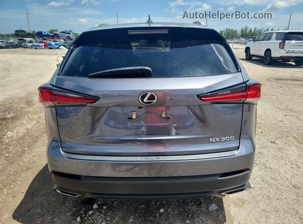 JTJDARBZ2M2187019 2021 LEXUS NX Серый Вид сзади