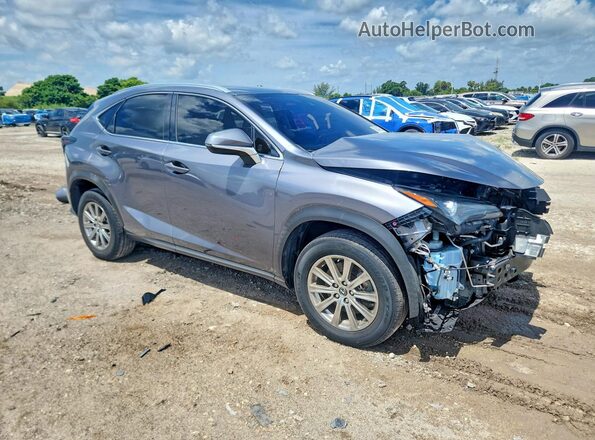 JTJDARBZ2M2187019 2021 LEXUS NX Серый Передняя правая четверть