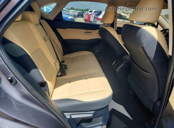 JTJDARBZ2M2187019 2021 LEXUS NX Серый Вид задней части салона